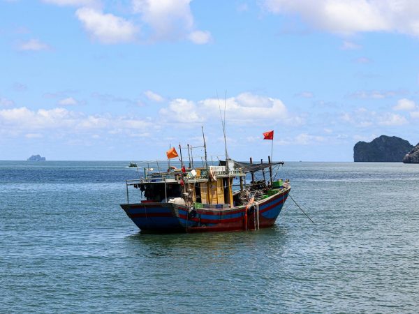 Fishing Vessels A Vital Link to the Ocean's Bounty